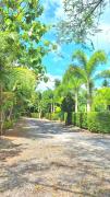 Top Surat Thani