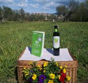 Top Viterbo