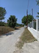 Top Sozopoli