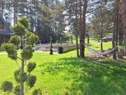 Top Tsigov Chark Top Tsigov Chark