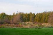 Top Beaverton