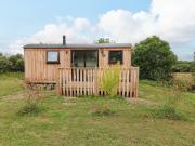 The Bumblebee The Bumblebee