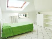 Top Pineto Top Pineto