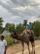 Top Bikaner