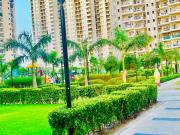 Top Noida