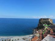 Top Scilla