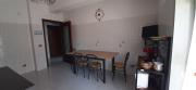 Top Spadafora