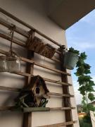 Top Borgo a Buggiano