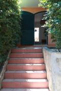 Top Noto