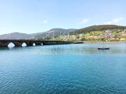 Top Viveiro