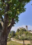 Top Borgo a Mozzano