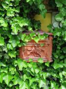 Top San Fedele Intelvi