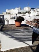 Top Ostuni