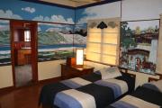 Top McLeod Ganj