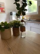 Top Saint-Martin-lez-Tatinghem