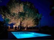 Top Mejorada Top Mejorada