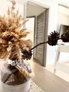 Top Palanga Top Palanga