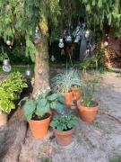 Top Olsztynek Top Olsztynek