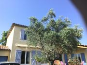 Belle villa avec une piscine