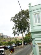 Top Las Palmas de Gran Canaria