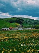 Top Întorsura Buzăului