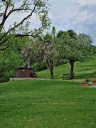 Top Întorsura Buzăului Top Întorsura Buzăului