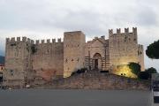Top Prato