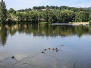 Gîte Les Myrtilles : Confort et Sérénité, Animaux Bienvenus, Jardin Commun - FR-1-496-45