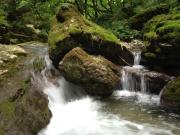 Top Caprino Veronese