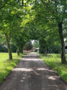 Top Jelling
