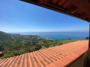 Top Parghelia