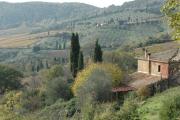 Top Montalcino