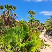 Top Corralejo