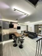 Brand New Luxury Apartment in Absolute Downtown Brand New Luxury Apartment in Absolute Downtown
