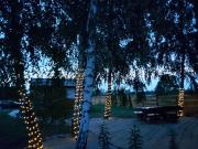 Top Jadów Top Jadów