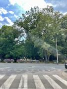 Katowice Tourism - In the Middle of the City Center