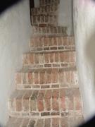 Top Driebergen Top Driebergen