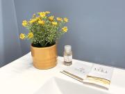 SUITE Celeste - 2 Bagni e 2 Camere da Letto