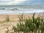 Top Les Sables Vignier