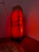 Top Querétaro Top Querétaro