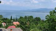 Top Star Dojran