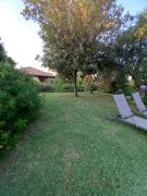 Top Cinigiano Top Cinigiano