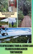 Apartamentos Caimán Tortuguero