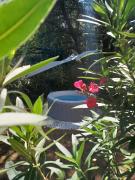 Top Peyrolles-en-Provence