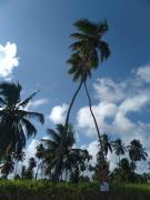 Top Maragogi