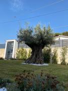 Top Santo Spirito Top Santo Spirito