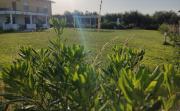 Top Vasto