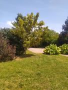 Bíbor-lak ökoszálláshely