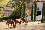 Top Greve in Chianti