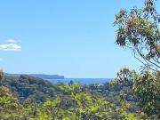 Treetop coastal getaway in Avalon Beach